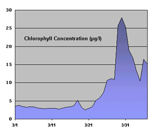 graph showing the increase in chlorophyll concentration in late April, 2003.